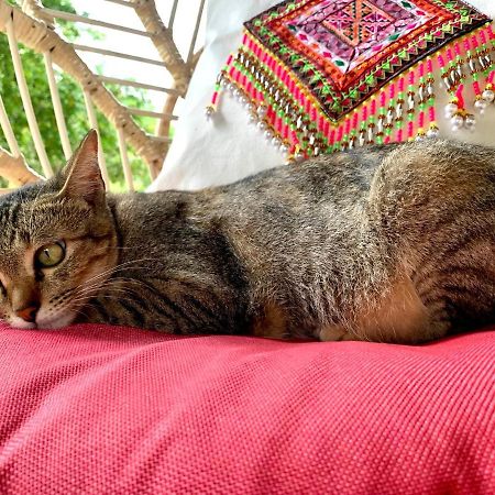 La Maison - Chiangmai Mae Taeng Eksteriør bilde