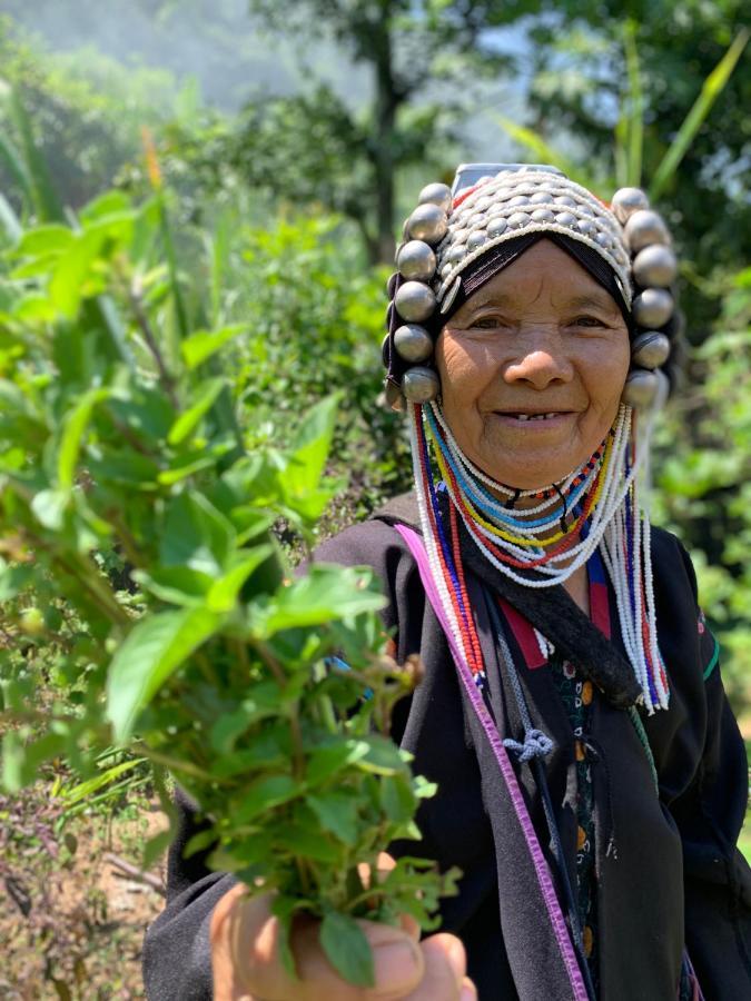La Maison - Chiangmai Mae Taeng Eksteriør bilde