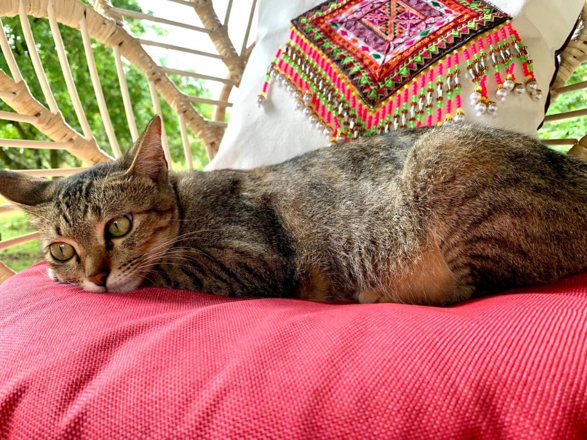 La Maison - Chiangmai Mae Taeng Eksteriør bilde